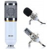 BM800 Stüdyo Kayıt Youtuber Mikrofonu Seti + Stand + Pop Filtre